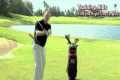 Golf Swing Training Aids by Brian Mogg